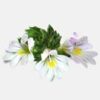 INCI Euphrasia Officinalis Extract (Augentrost Extrakt)