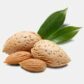 INCI Prunus Amygdalus Dulcis Almond Oil (Mandelöl)