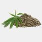 INCI Cannabis Sativa Seed Extract (Hanf Extrakt)