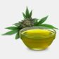 INCI Cannabis Sativa Seed Oil (Hanföl)