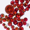 INCI Haematococcus Pluvialis Extract (Blutregenalge)