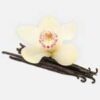 INCI Vanilla Planifolia Fruit Extract (Vanille Extrakt)
