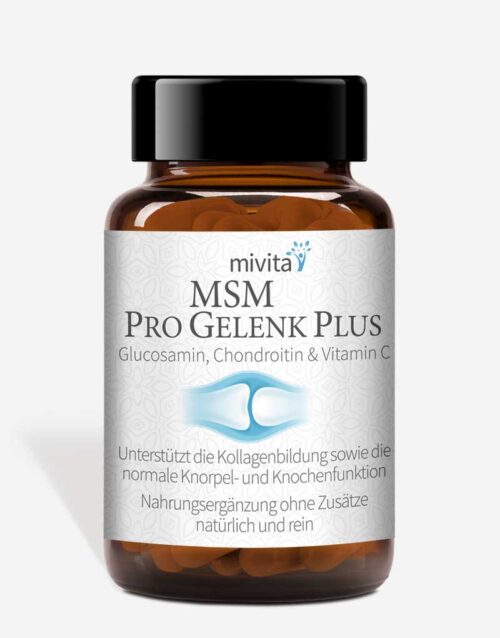MSM Pro Gelenk Plus