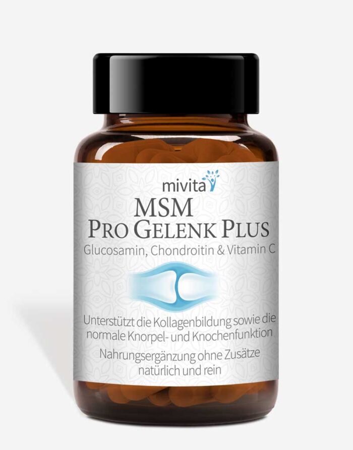 MSM Pro Gelenk Plus