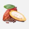 INCI Theobroma Cacao Seed Butter (Kakaobutter)